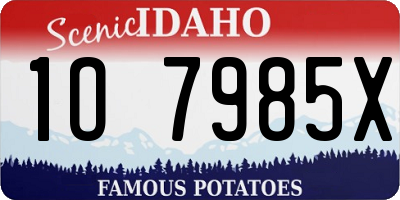 ID license plate 1O7985X