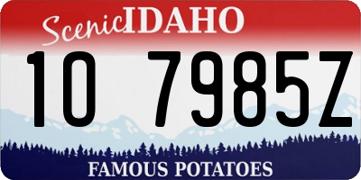 ID license plate 1O7985Z