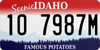 ID license plate 1O7987M