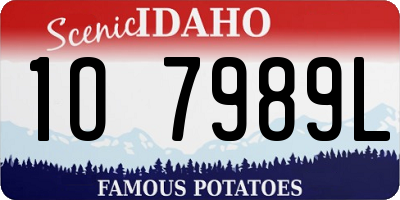 ID license plate 1O7989L
