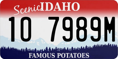 ID license plate 1O7989M