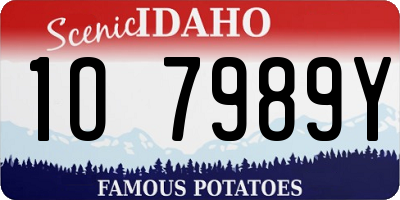 ID license plate 1O7989Y