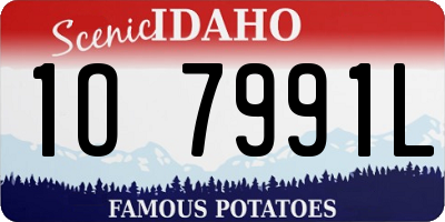 ID license plate 1O7991L