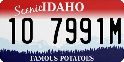 ID license plate 1O7991M