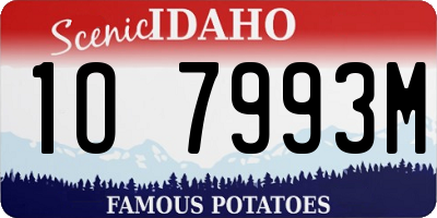 ID license plate 1O7993M