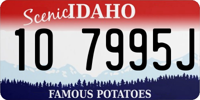 ID license plate 1O7995J