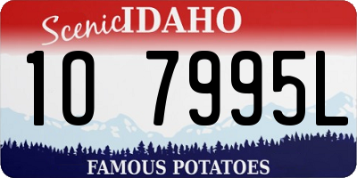 ID license plate 1O7995L