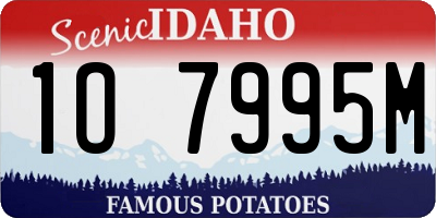 ID license plate 1O7995M