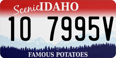 ID license plate 1O7995V