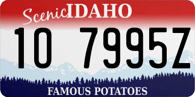 ID license plate 1O7995Z