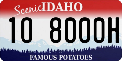 ID license plate 1O8000H