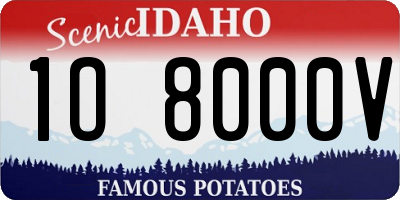 ID license plate 1O8000V