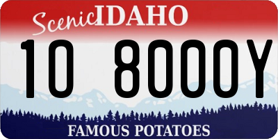 ID license plate 1O8000Y