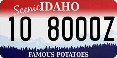 ID license plate 1O8000Z