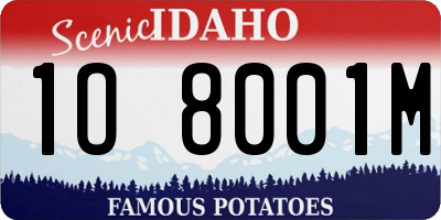 ID license plate 1O8001M