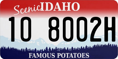 ID license plate 1O8002H