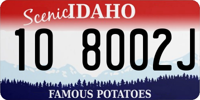 ID license plate 1O8002J