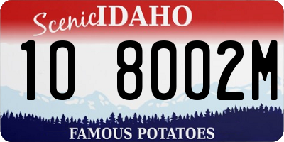 ID license plate 1O8002M
