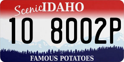 ID license plate 1O8002P