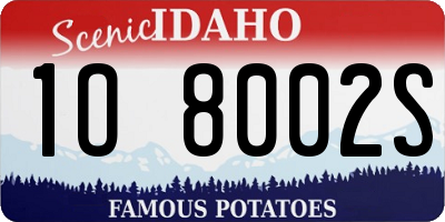 ID license plate 1O8002S