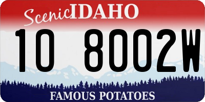 ID license plate 1O8002W