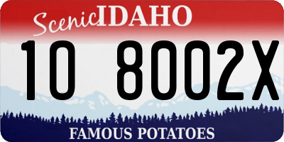 ID license plate 1O8002X