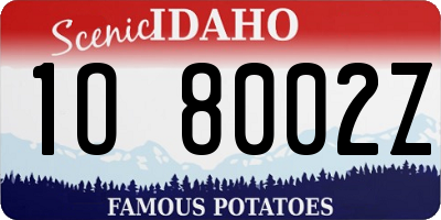 ID license plate 1O8002Z