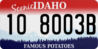 ID license plate 1O8003B