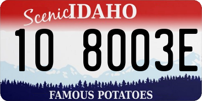 ID license plate 1O8003E