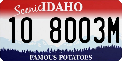 ID license plate 1O8003M
