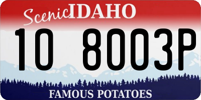 ID license plate 1O8003P