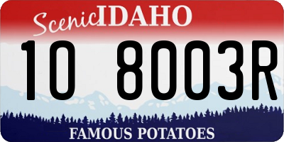 ID license plate 1O8003R