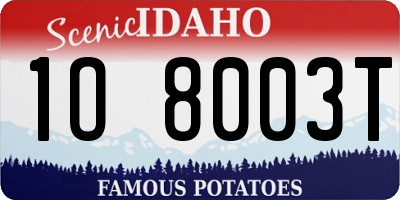 ID license plate 1O8003T
