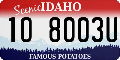 ID license plate 1O8003U