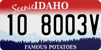 ID license plate 1O8003V