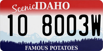 ID license plate 1O8003W