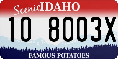 ID license plate 1O8003X