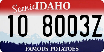 ID license plate 1O8003Z