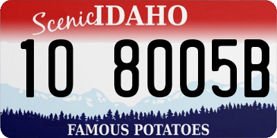 ID license plate 1O8005B