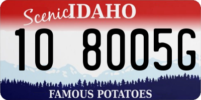 ID license plate 1O8005G