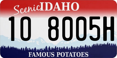 ID license plate 1O8005H