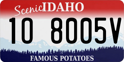 ID license plate 1O8005V