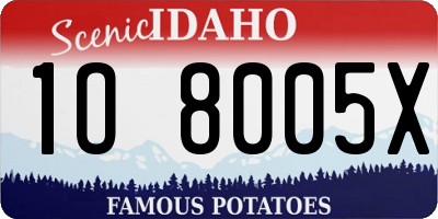 ID license plate 1O8005X