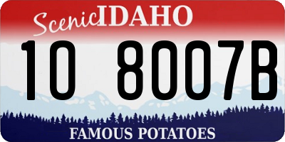 ID license plate 1O8007B