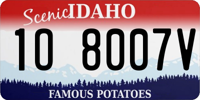 ID license plate 1O8007V