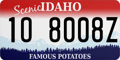 ID license plate 1O8008Z