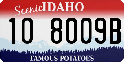 ID license plate 1O8009B