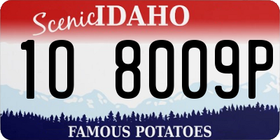 ID license plate 1O8009P