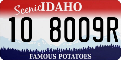 ID license plate 1O8009R