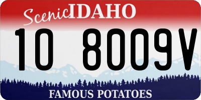 ID license plate 1O8009V
